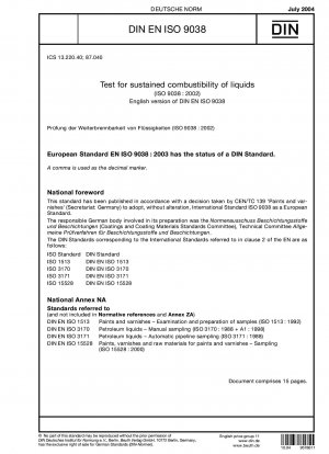 Test for sustained combustibility of liquids