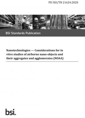 Nanotechnologies. Considerations for in vitro studies of airborne nano‐objects and their aggregates and agglomerates (NOAA)