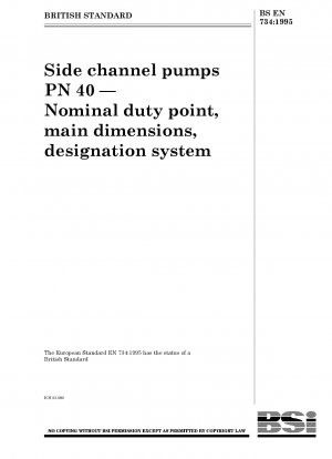 Side channel pumps PN 40 — Nominal duty point, main dimensions, designation system