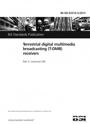Terrestrial digital multimedia broadcasting (T-DMB) receivers. Common API