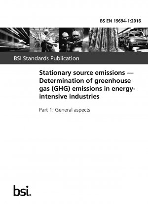 Stationary source emissions. Determination of greenhouse gas (GHG) emissions in energy-intensive industries. General aspects