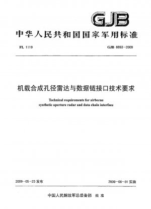 Technical requirements for airborne synthetic aperture radar and data chain interface