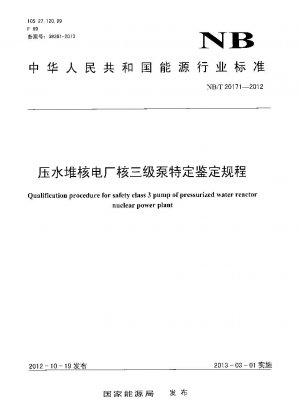 Qualification procedure for safety class 3 pump of pressurized water reactor nuclear power plant