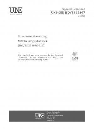 Non-destructive testing - NDT training syllabuses (ISO/TS 25107:2019)