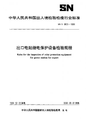 Rules for the inspection of relay protection equipment for power station for export
