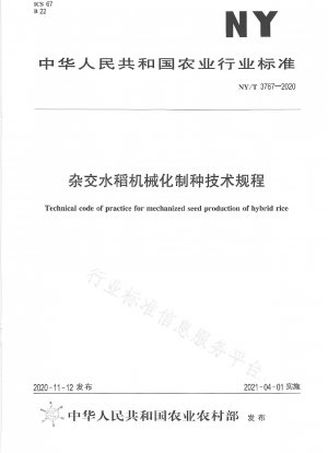 Technical regulations for mechanized seed production of hybrid rice