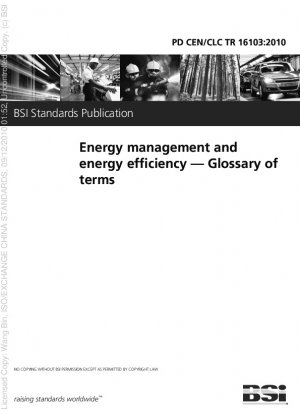 Energy management and energy efficiency — Glossary of terms