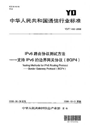 Testing methods for IPv6 routing protocol.Border gateway protocol (BGP4)