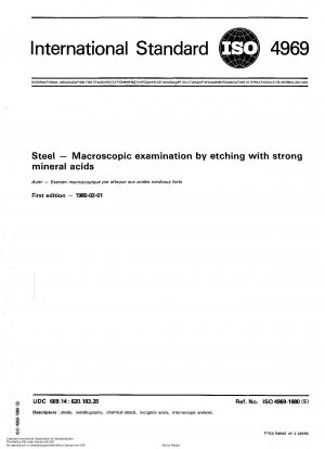 Steel; Macroscopic examination by etching with strong mineral acids