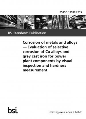 Corrosion of metals and alloys. Evaluation of selective corrosion of Cu alloys and grey cast iron for power plant components by visual inspection and hardness measurement