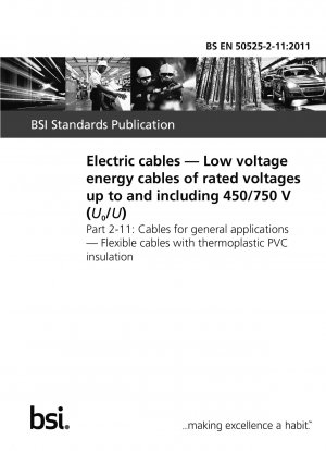 Electric cables. Low voltage energy cables of rated voltages up to and including 450/750V (U0/U). Cables for general applications. Flexible cables with thermoplastic PVC insulation