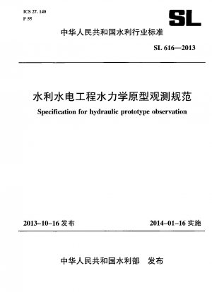 Specification for hydraulic prototype observation
