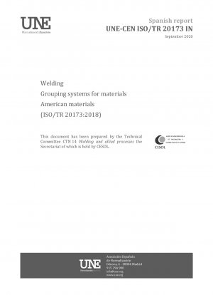 Welding - Grouping systems for materials - American materials (ISO/TR 20173:2018)