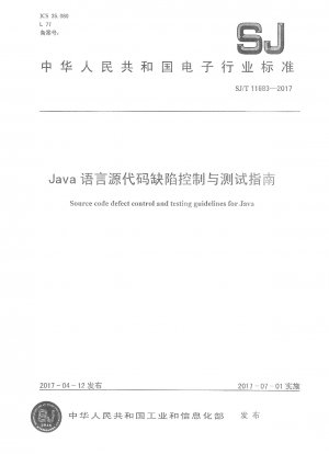 Source code defect control and testing guidelines for Java