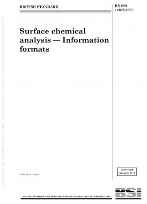 Surface chemical analysis — Information formats