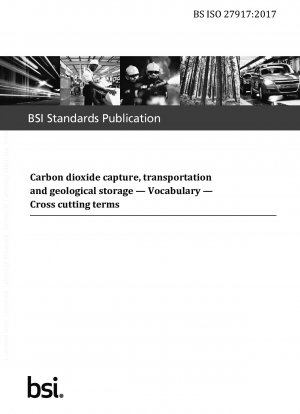 Carbon dioxide capture, transportation and geological storage. Vocabulary. Cross cutting terms