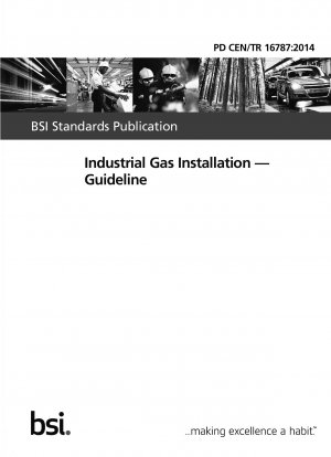 Industrial Gas Installation - Guideline