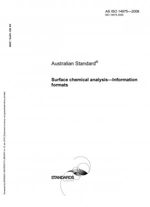 Surface chemical analysis - Information formats