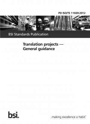 Translation projects. General guidance