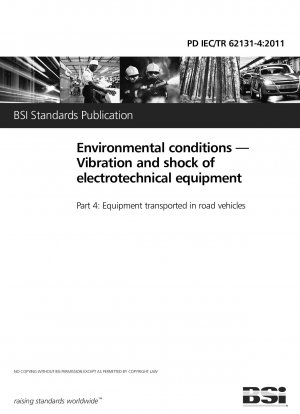 Environmental conditions. Vibration and shock of electrotechnical equipment. Equipment transported in road vehicles