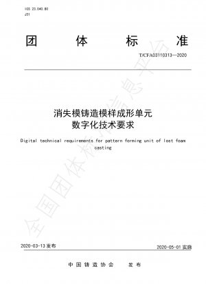 Digital technical requirements for pattern forming unit of lost foam  casting