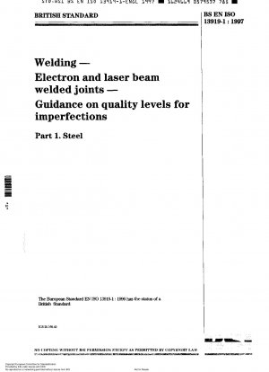 Welding. Electron and laser beam welded joints. Guidance on quality levels for imperfections. Steel