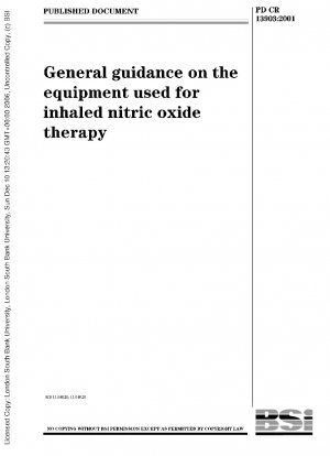 General guidance on the equipment used for inhaled nitric oxide therapy
