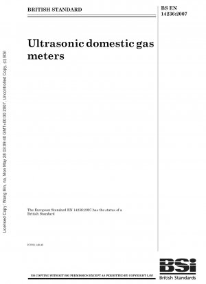 Ultrasonic domestic gas meters