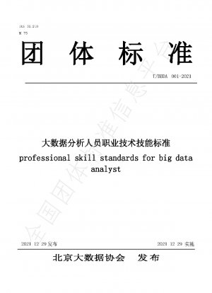 professional skill standards for big data analyst