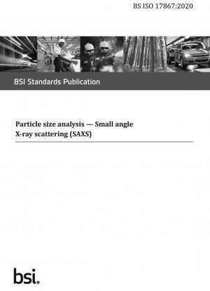 Particle size analysis. Small angle X-ray scattering (SAXS)