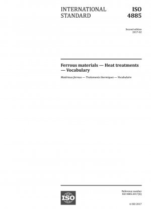 Ferrous materials - Heat treatments - Vocabulary