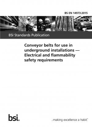 Conveyor belts for use in underground installations. Electrical and flammability safety requirements