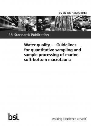 Water quality — Guidelines for quantitative sampling and sample processing of marine soft - bottom macrofauna
