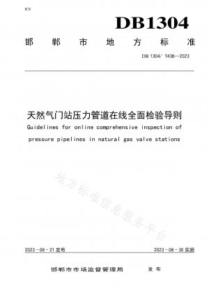Guidelines for online comprehensive inspection of natural gas gate station pressure pipelines
