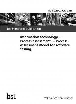 Information technology. Process assessment. Process assessment model for software testing