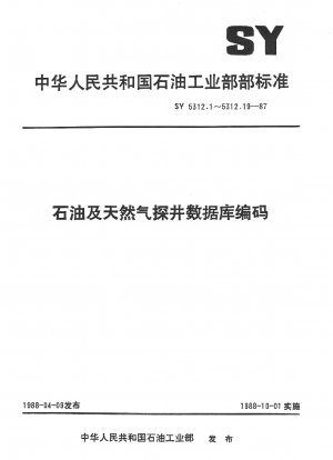 Coding of Oil and Gas Exploration Well Database Coding of Well Logging Interpretation Parameters