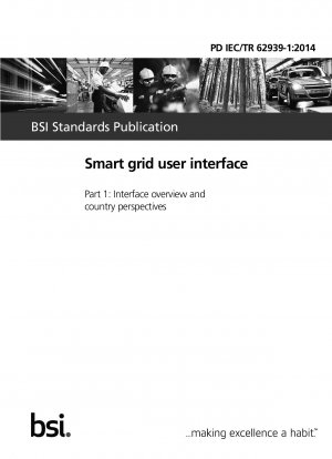 Smart grid user interface. Interface overview and country perspectives