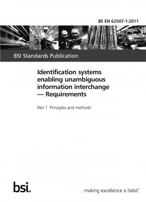 Identification systems enabling unambiguous information interchange. Requirements. Principles and methods