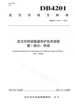 Wuhan Technical Regulations for Maintenance of Bridges and Tunnels Part 1: Bridges