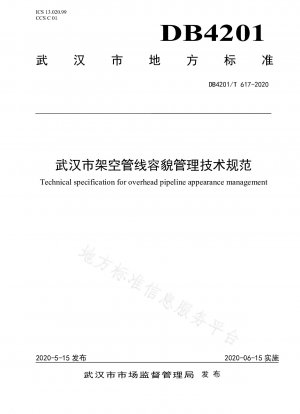 Technical specifications for appearance management of overhead pipelines in Wuhan City